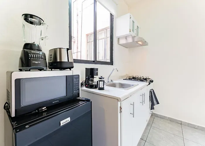 Santa Ma La Ribera Lofts By Vh Apartment Mexico City