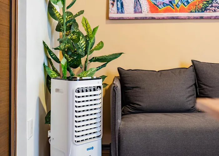 Apartment Santa Ma La Ribera Lofts By Vh Mexico City