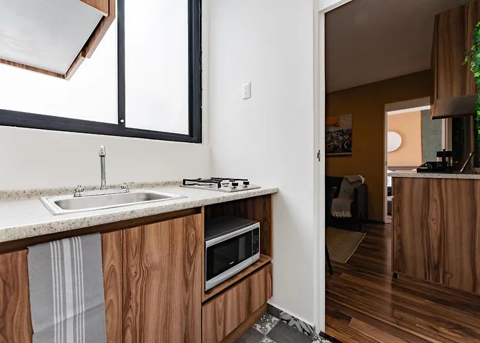 Santa Ma La Ribera Lofts By Vh Apartment Mexico City