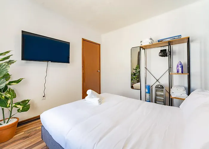 Santa Ma La Ribera Lofts By Vh Apartment Mexico City