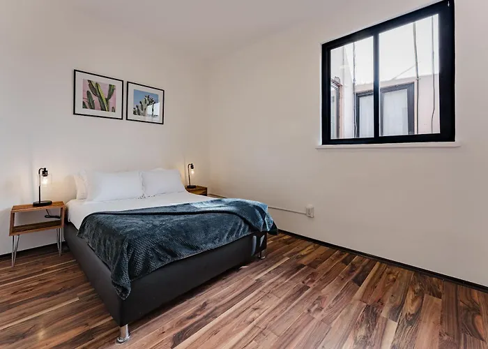 Santa Ma La Ribera Lofts By Vh Apartment Mexico City