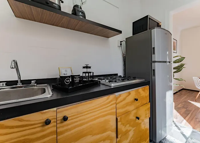 Santa Ma La Ribera Lofts By Vh * Mexico City